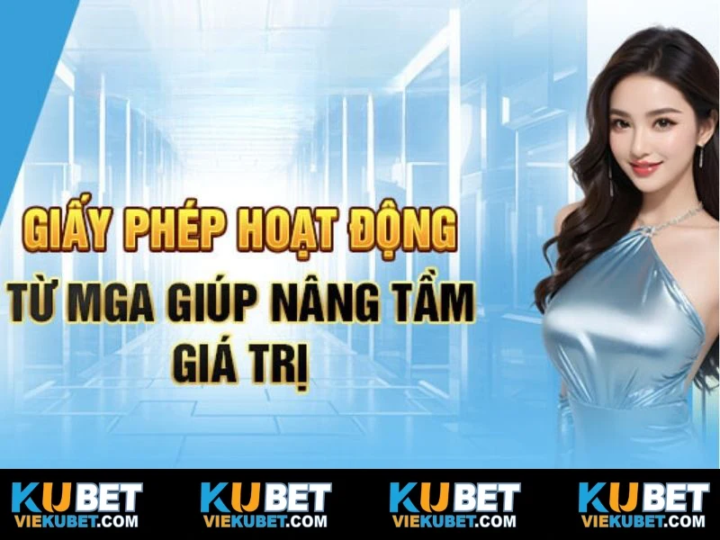 Bộ giấy phép thiết thực nâng tầm giá trị của thương hiệu