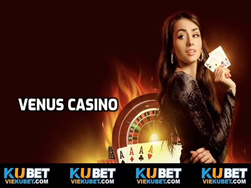 Trải nghiệm cá cược tại sảnh venus casino