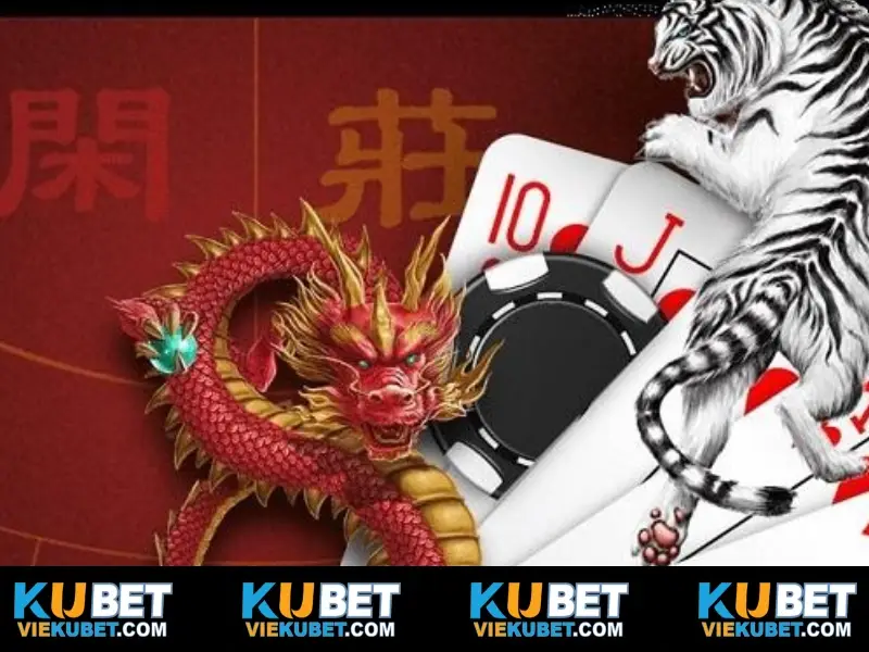 Tại sao nên chơi Rồng Hổ Kubet?